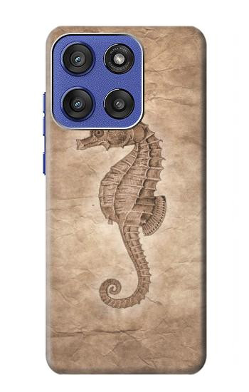 S3214 タツノオトシゴスケルトン化石 Seahorse Skeleton Fossil Motorola Moto G Stylus 5G (2025), Edge 60 Stylus バックケース、フリップケース・カバー