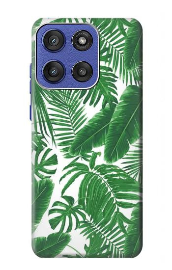 S3457 ペーパーパームモンステラ Paper Palm Monstera Motorola Moto G Stylus 5G (2025), Edge 60 Stylus バックケース、フリップケース・カバー