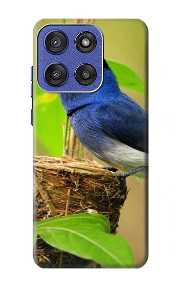 S3839 幸福の青い 鳥青い鳥 Bluebird of Happiness Blue Bird Motorola Moto G Stylus 5G (2025), Edge 60 Stylus バックケース、フリップケース・カバー