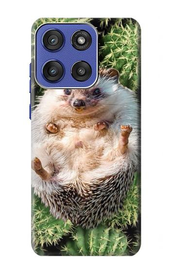 S3863 ピグミー ハリネズミ ドワーフ ハリネズミ ペイント Pygmy Hedgehog Dwarf Hedgehog Paint Motorola Moto G Stylus 5G (2025,2026), Edge 60 Stylus バックケース、フリップケース・カバー