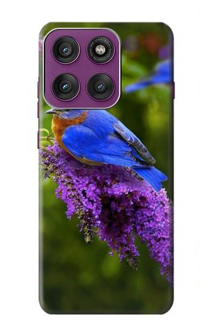 S1565 幸福の青い鳥 ブルーバード Bluebird of Happiness Blue Bird Motorola Edge 60 Pro バックケース、フリップケース・カバー