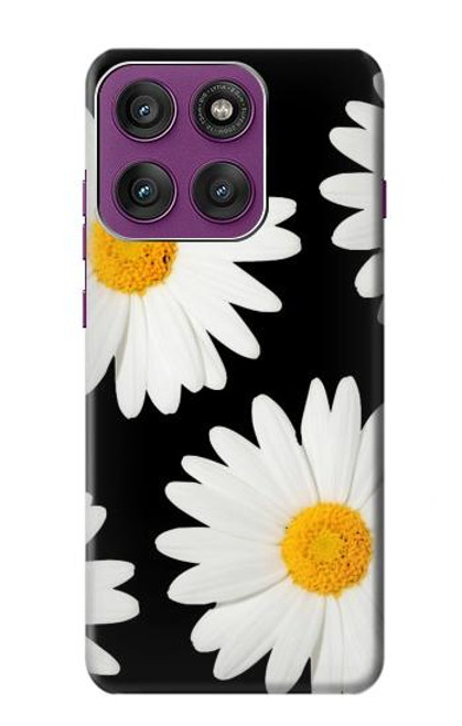 S2477 デイジーの花 Daisy flower Motorola Edge 60 Pro バックケース、フリップケース・カバー
