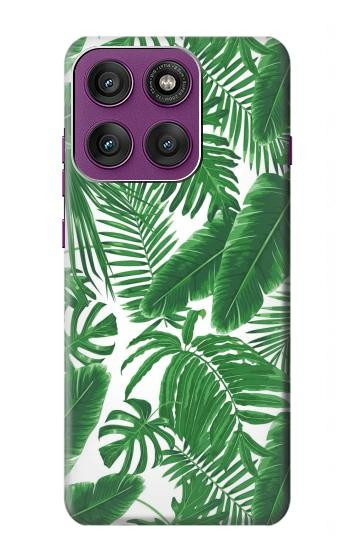 S3457 ペーパーパームモンステラ Paper Palm Monstera Motorola Edge 60 Pro バックケース、フリップケース・カバー