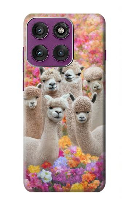 S3916 アルパカファミリー ベビーアルパカ Alpaca Family Baby Alpaca Motorola Edge 60 Pro バックケース、フリップケース・カバー