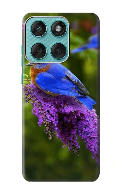 S1565 幸福の青い鳥 ブルーバード Bluebird of Happiness Blue Bird Motorola Edge 60 Fusion バックケース、フリップケース・カバー