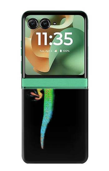 S0125 緑ヤモリ Green Madagascan Gecko Motorola Razr 70+,60+, Razr+ (2026, 2025, 2024) バックケース、フリップケース・カバー