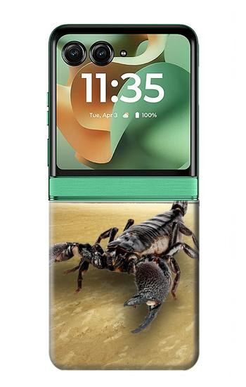 S0150 砂漠のサソリ Desert Scorpion Motorola Razr 60, Razr 2025 バックケース、フリップケース・カバー