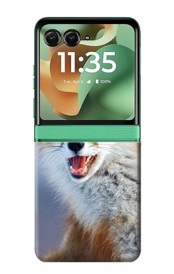 S0417 狐 Fox Motorola Razr 70+,60+, Razr+ (2026, 2025, 2024) バックケース、フリップケース・カバー