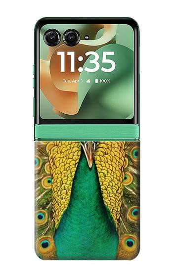 S0513 孔雀 Peacock Motorola Razr 70+,60+, Razr+ (2026, 2025, 2024) バックケース、フリップケース・カバー