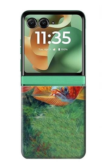 S1157 レッドアロワナ Red Arowana Fish Motorola Razr 70+,60+, Razr+ (2026, 2025, 2024) バックケース、フリップケース・カバー