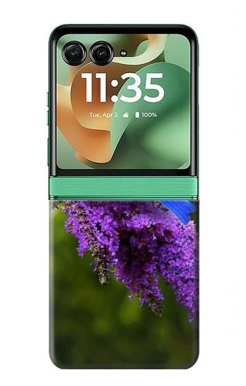 S1565 幸福の青い鳥 ブルーバード Bluebird of Happiness Blue Bird Motorola Razr 70+,60+, Razr+ (2026, 2025, 2024) バックケース、フリップケース・カバー