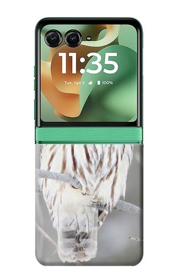 S1566 白フクロウ シロフクロウ Snowy Owl White Owl Motorola Razr 60, Razr 2025 バックケース、フリップケース・カバー