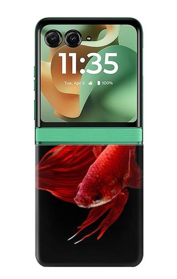 S2092 シャムと戦うサイアム Red Siamese Fighting Fish Motorola Razr 70+,60+, Razr+ (2026, 2025, 2024) バックケース、フリップケース・カバー
