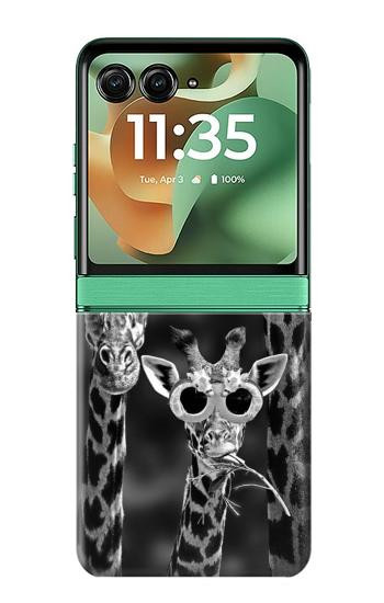 S2327 サングラスとキリン Giraffes With Sunglasses Motorola Razr 70+,60+, Razr+ (2026, 2025, 2024) バックケース、フリップケース・カバー