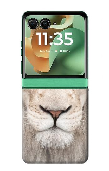 S2399 ホワイトライオンの顔 White Lion Face Motorola Razr 60, Razr 2025 バックケース、フリップケース・カバー