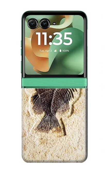 S2562 魚化石 Fossil Fish Motorola Razr 60, Razr 2025 バックケース、フリップケース・カバー