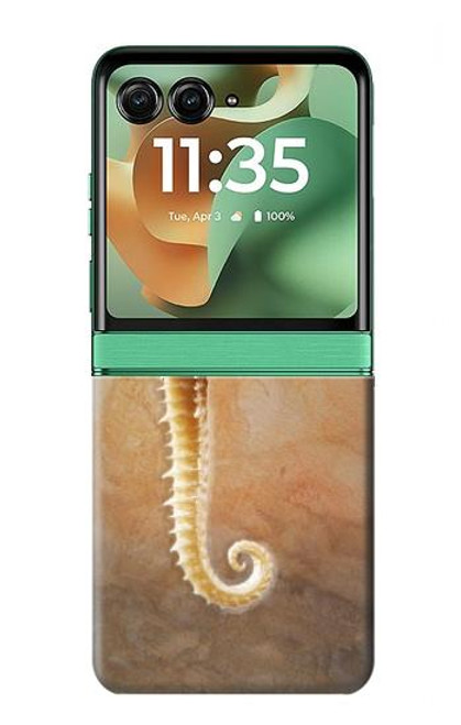 S2674 タツノオトシゴスケルトン化石 Seahorse Skeleton Fossil Motorola Razr 60, Razr 2025 バックケース、フリップケース・カバー