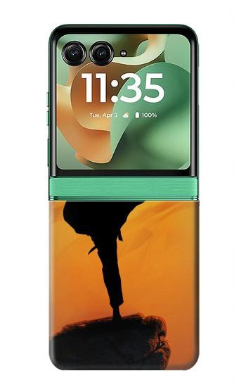 S3024 空手の戦闘機 Karate Fighter Motorola Razr 60, Razr 2025 バックケース、フリップケース・カバー