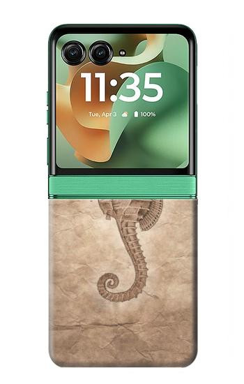 S3214 タツノオトシゴスケルトン化石 Seahorse Skeleton Fossil Motorola Razr 70+,60+, Razr+ (2026, 2025, 2024) バックケース、フリップケース・カバー