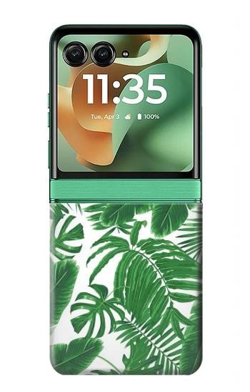 S3457 ペーパーパームモンステラ Paper Palm Monstera Motorola Razr 70+,60+, Razr+ (2026, 2025, 2024) バックケース、フリップケース・カバー