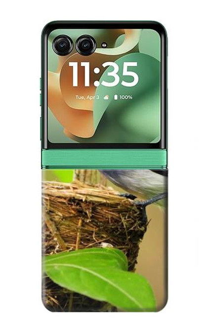 S3839 幸福の青い 鳥青い鳥 Bluebird of Happiness Blue Bird Motorola Razr 60, Razr 2025 バックケース、フリップケース・カバー