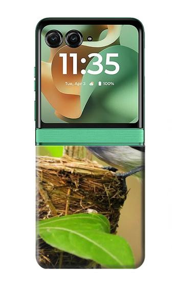 S3839 幸福の青い 鳥青い鳥 Bluebird of Happiness Blue Bird Motorola Razr 70+,60+, Razr+ (2026, 2025, 2024) バックケース、フリップケース・カバー