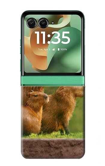 S3917 カピバラの家族 巨大モルモット Capybara Family Giant Guinea Pig Motorola Razr 70+,60+, Razr+ (2026, 2025, 2024) バックケース、フリップケース・カバー