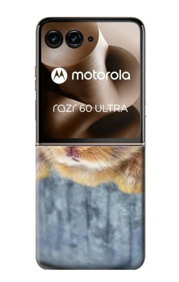 S0242 可愛いウサギ Cute Rabbit Motorola Razr 60 Ultra, Razr Ultra 2025 バックケース、フリップケース・カバー