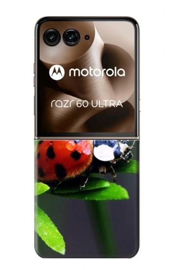 S0263 天道虫 Ladybug Motorola Razr 70 Ultra, 60 Ultra, 50 Ultra, Ultra 2026, Ultra 2025 バックケース、フリップケース・カバー
