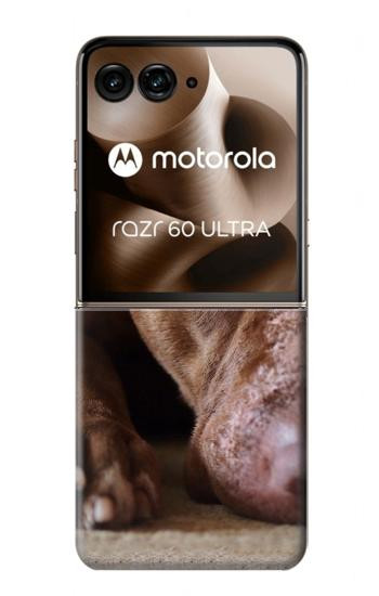 S0519 ピットブルの顔 PitBull Face Motorola Razr 60 Ultra, Razr Ultra 2025 バックケース、フリップケース・カバー