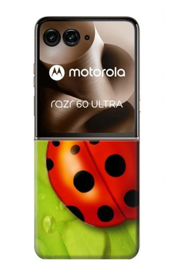 S0892 天道虫 Ladybug Motorola Razr 70 Ultra, 60 Ultra, 50 Ultra, Ultra 2026, Ultra 2025 バックケース、フリップケース・カバー