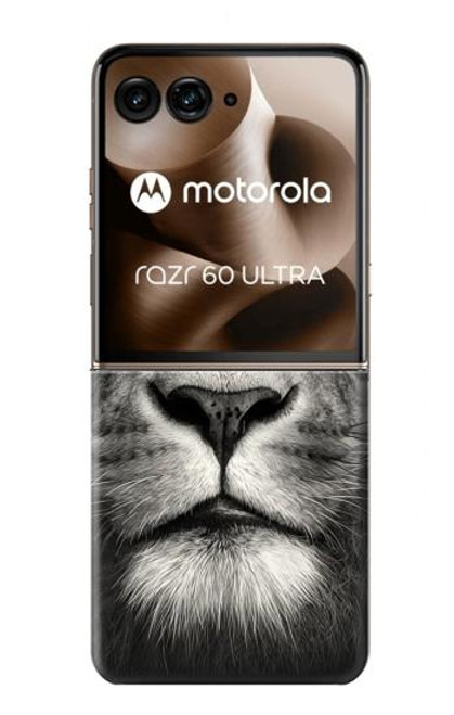 S1352 ライオンの顔 Lion Face Motorola Razr 60 Ultra, Razr Ultra 2025 バックケース、フリップケース・カバー