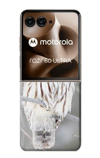 S1566 白フクロウ シロフクロウ Snowy Owl White Owl Motorola Razr 60 Ultra, Razr Ultra 2025 バックケース、フリップケース・カバー