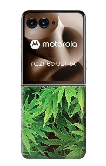 S1656 マリファナ Marijuana Plant Motorola Razr 70 Ultra, 60 Ultra, 50 Ultra, Ultra 2026, Ultra 2025 バックケース、フリップケース・カバー