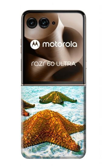 S1679 ヒトデ 海 浜 Starfish Sea Beach Motorola Razr 60 Ultra, Razr Ultra 2025 バックケース、フリップケース・カバー