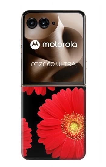 S2478 赤デイジーの花 Red Daisy flower Motorola Razr 70 Ultra, 60 Ultra, 50 Ultra, Ultra 2026, Ultra 2025 バックケース、フリップケース・カバー
