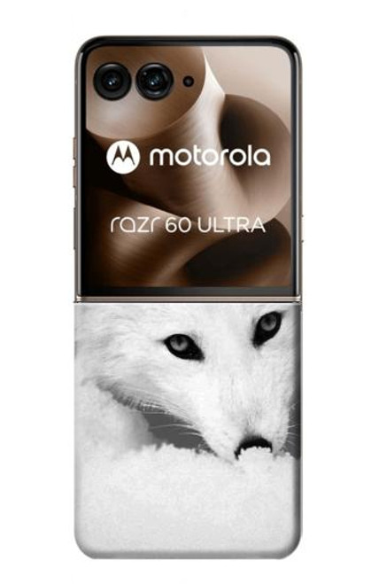 S2569 ホワイト北極キツネ White Arctic Fox Motorola Razr 60 Ultra, Razr Ultra 2025 バックケース、フリップケース・カバー