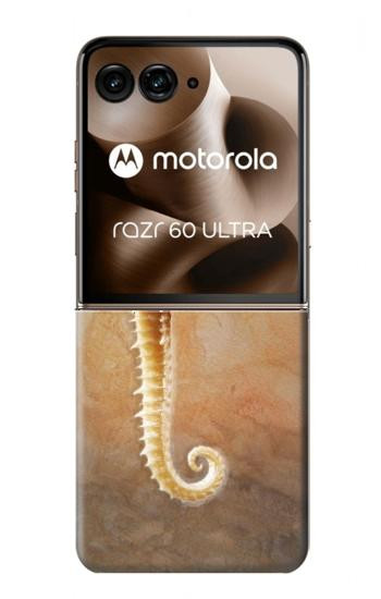 S2674 タツノオトシゴスケルトン化石 Seahorse Skeleton Fossil Motorola Razr 70 Ultra, 60 Ultra, 50 Ultra, Ultra 2026, Ultra 2025 バックケース、フリップケース・カバー