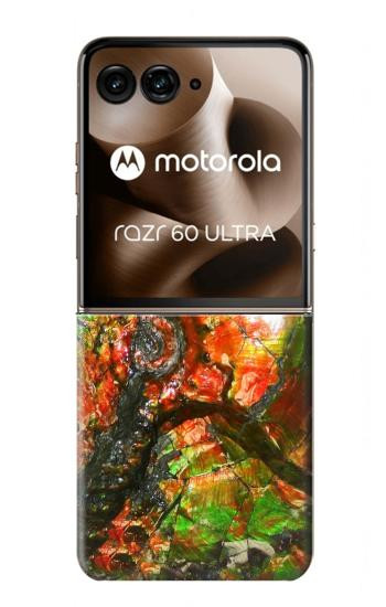 S2694 アンモナイト化石 Ammonite Fossil Motorola Razr 70 Ultra, 60 Ultra, 50 Ultra, Ultra 2026, Ultra 2025 バックケース、フリップケース・カバー