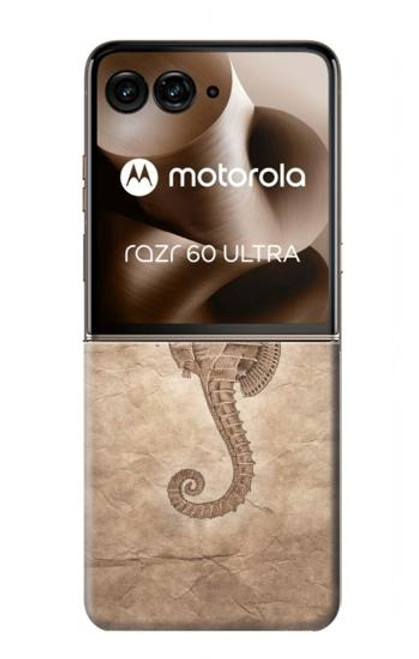 S3214 タツノオトシゴスケルトン化石 Seahorse Skeleton Fossil Motorola Razr 60 Ultra, Razr Ultra 2025 バックケース、フリップケース・カバー