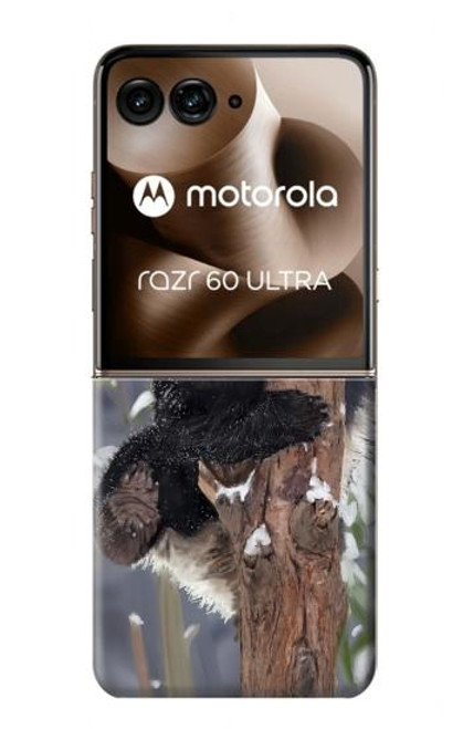 S3793 かわいい赤ちゃん雪パンダのペイント Cute Baby Panda Snow Painting Motorola Razr 60 Ultra, Razr Ultra 2025 バックケース、フリップケース・カバー