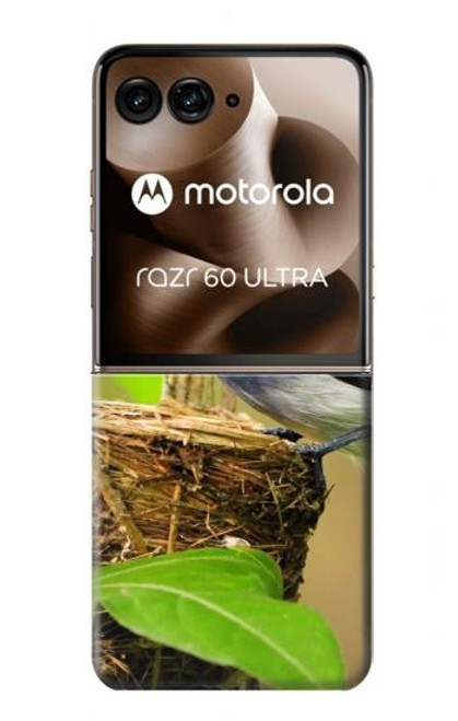 S3839 幸福の青い 鳥青い鳥 Bluebird of Happiness Blue Bird Motorola Razr 60 Ultra, Razr Ultra 2025 バックケース、フリップケース・カバー