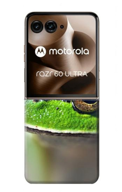 S3845 緑のカエル Green frog Motorola Razr 60 Ultra, Razr Ultra 2025 バックケース、フリップケース・カバー