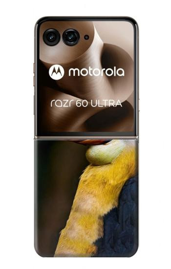 S3876 カラフルなサイチョウ Colorful Hornbill Motorola Razr 70 Ultra, 60 Ultra, 50 Ultra, Ultra 2026, Ultra 2025 バックケース、フリップケース・カバー
