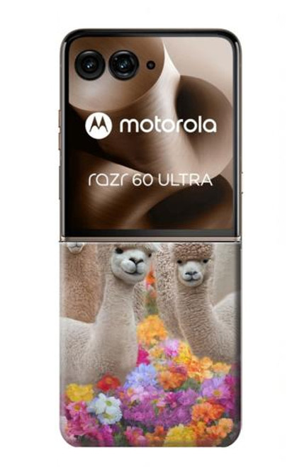 S3916 アルパカファミリー ベビーアルパカ Alpaca Family Baby Alpaca Motorola Razr 60 Ultra, Razr Ultra 2025 バックケース、フリップケース・カバー