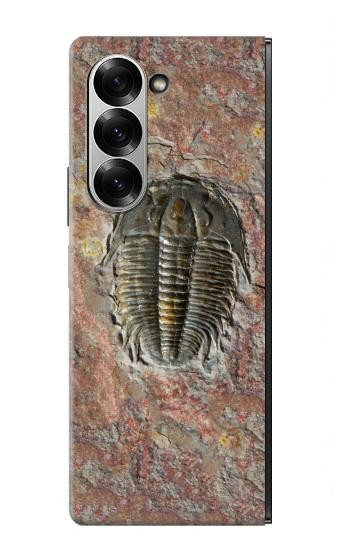 S1454 三葉虫の化石 Trilobite Fossil Samsung Galaxy Z Fold 7 バックケース、フリップケース・カバー