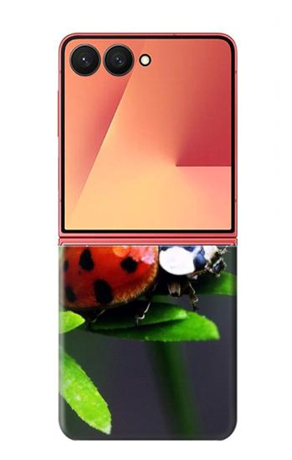 S0263 天道虫 Ladybug Samsung Galaxy Z Flip 7 バックケース、フリップケース・カバー