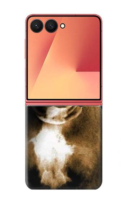 S0520 ピットブル PitBull Samsung Galaxy Z Flip 7 バックケース、フリップケース・カバー