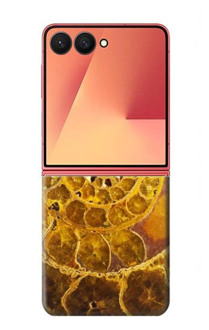 S1789 アンモナイト化石 Ammonite Fossils Samsung Galaxy Z Flip 7 バックケース、フリップケース・カバー