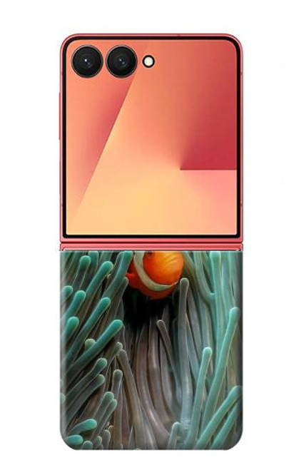 S3893 カクレクマノミ Ocellaris clownfish Samsung Galaxy Z Flip 7 バックケース、フリップケース・カバー